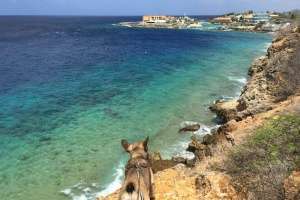 Curacao Holiday Experience - Adventures