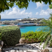 Sea Star at Curacao Luxury Holiday Rentals