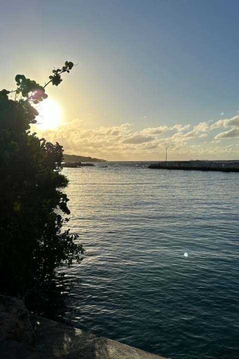 Curacao Luxury Holiday Rentals_HomeIMG_0211_tn