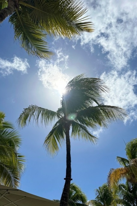 Curacao Luxury Holiday Rentals_HomeIMG_0382_tn