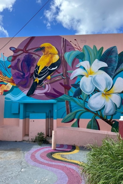 Curacao Luxury Holiday Rentals_HomeIMG_0594_tn