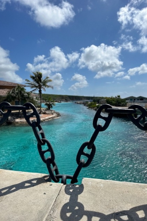 Curacao Luxury Holiday Rentals_HomeIMG_1469 2_tn