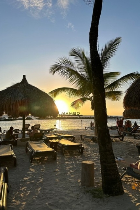 Curacao Luxury Holiday Rentals_HomeIMG_2165_tn