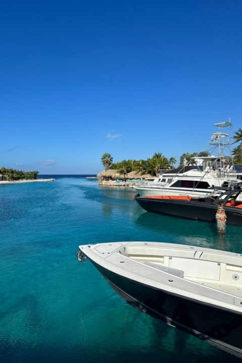 Curacao Luxury Holiday Rentals_HomeIMG_9669_tn
