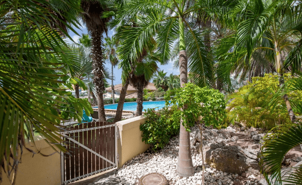 photo de l'extérieur vue piscine