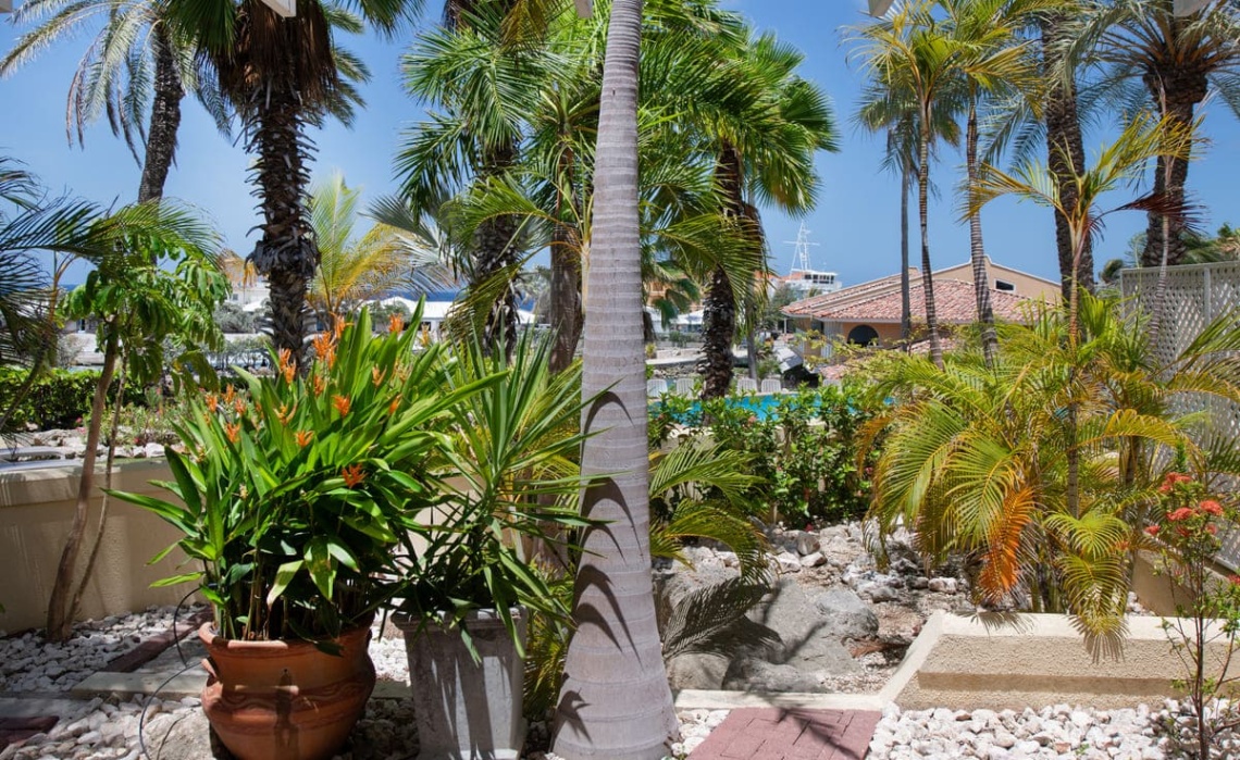 Tropical garden – Portofino apartment
